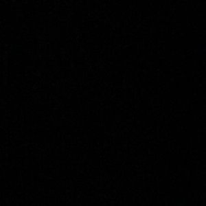 Meet your Posher, Dawit